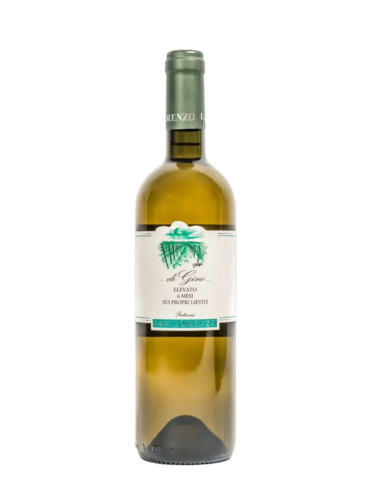 Fattoria San Lorenzo 'Verdicchio di Gino' 2023